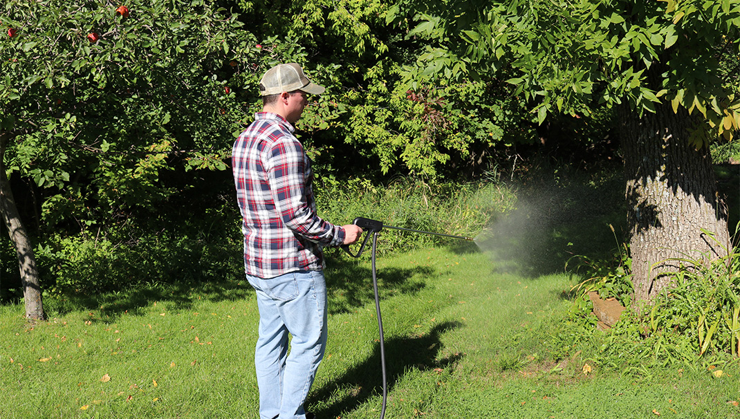 Spraying